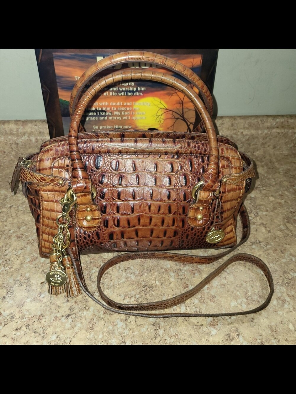 Brahmin Stacy Satchel in Pecan Melbourne Croc Embossed Leather